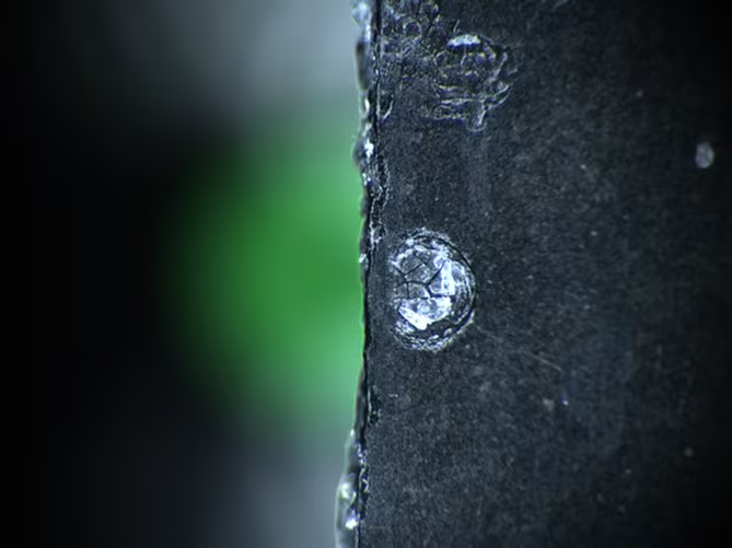 image5.jpeg image5.jpeg